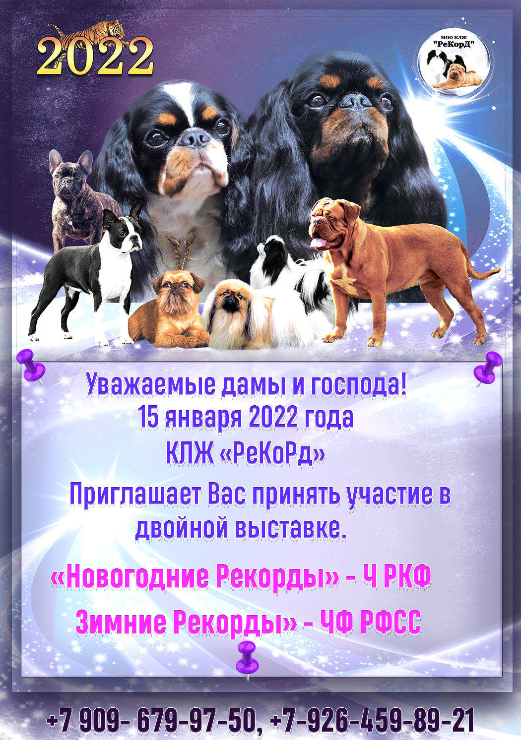 Приглашение на выставку собак