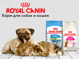 ROYAL CANIN – эксперт в области здорового питания для кошек и собак